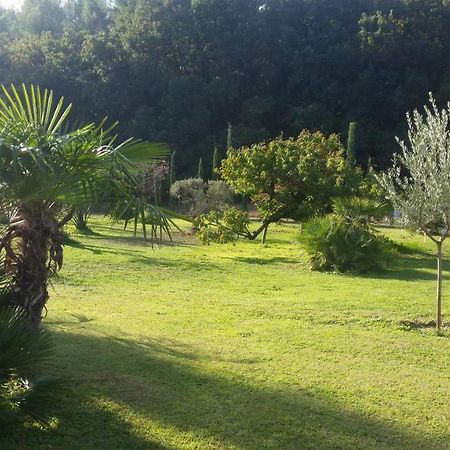 Provence Bed & Breakfast Carpentras Exterior photo